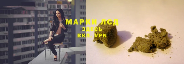 прущие грибы Баксан