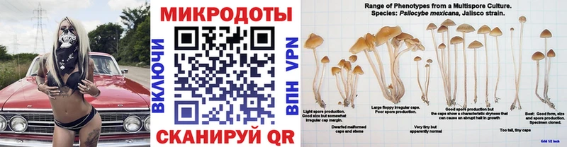наркотики  KRAKEN зеркало  Псилоцибиновые грибы ЛСД  Кораблино 